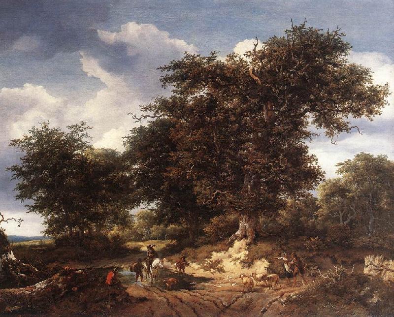RUISDAEL, Jacob Isaackszon van The Great Oak af Norge oil painting art